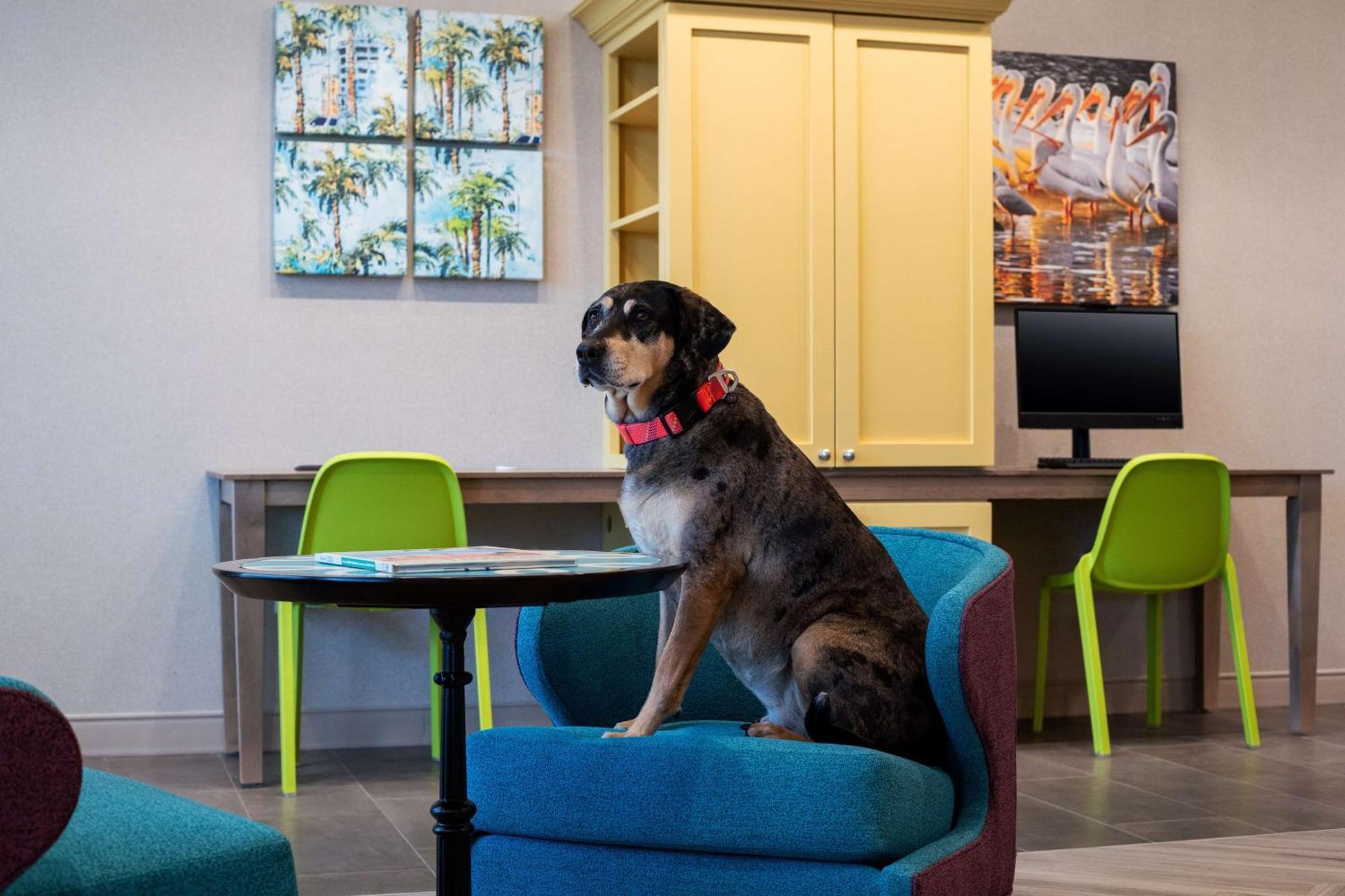 Home2 Suites By Hilton Lake Mary Orlando Eksteriør bilde